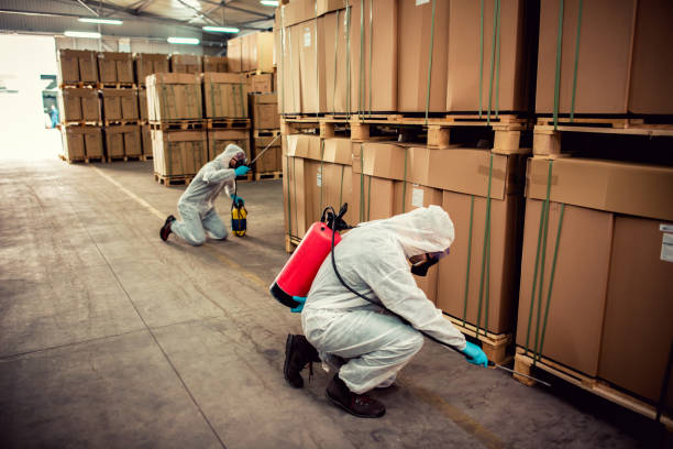 Reliable Port Richey, FL Pest Control Solutions