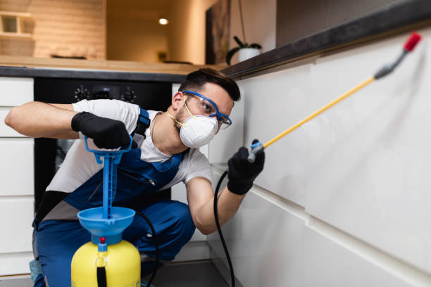 Best Best Pest Control Companies  in Port Richey, FL