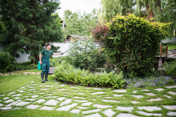 Best Wasp Removal Services  in Port Richey, FL